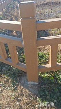 高度100厘米荷花