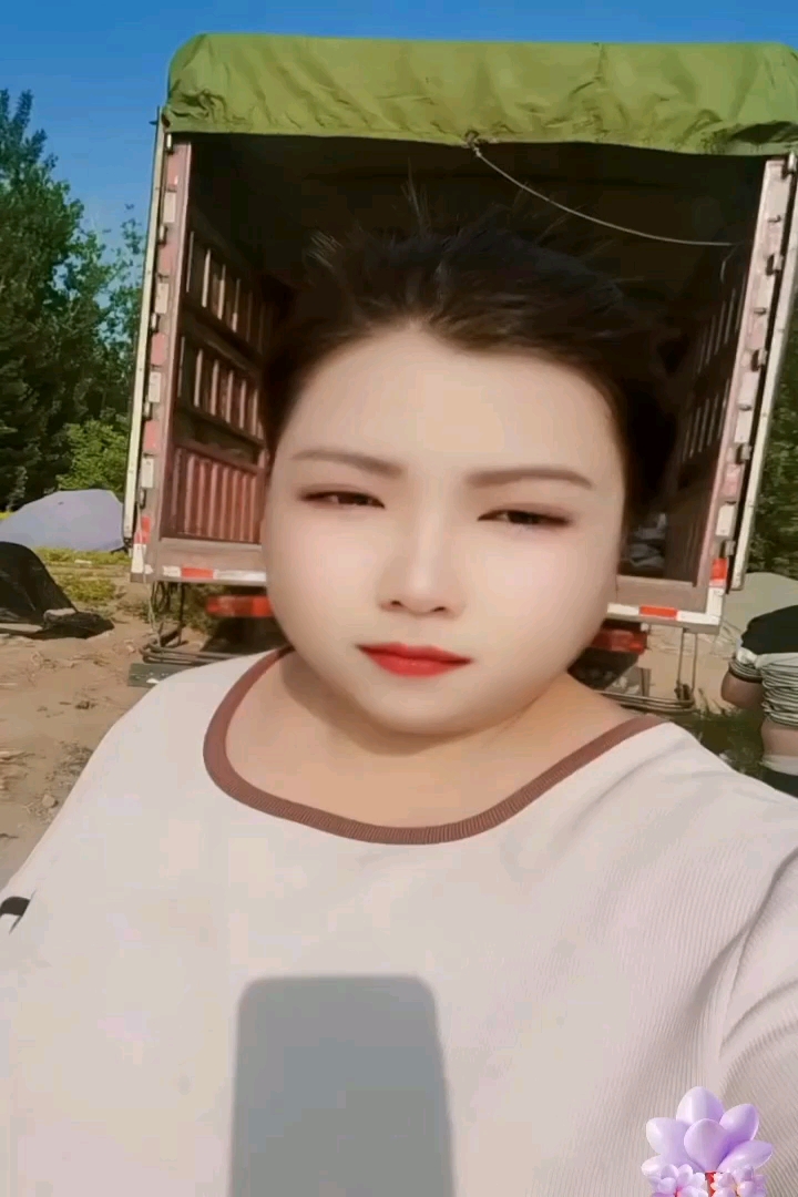 高度45厘米穗花婆婆纳