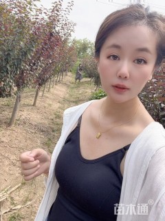 6公分美人梅
