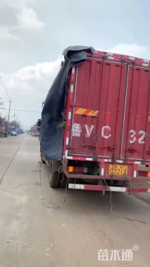 高度30厘米金边玉簪