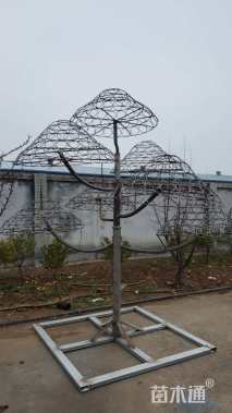铁艺花架