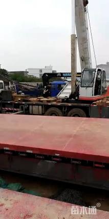 26公分桂花