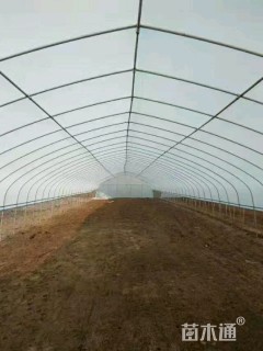 牛头温室大棚