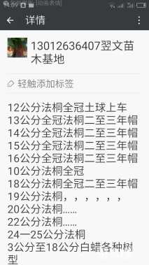 17公分法桐