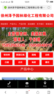 22公分银杏