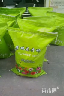 百喜草种子