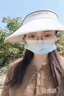 50公分小叶榕