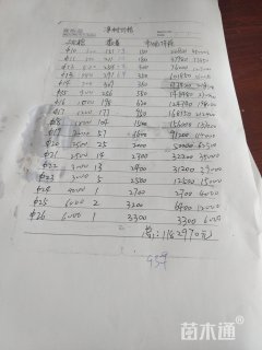15公分速生白蜡