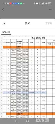 50公分桂花