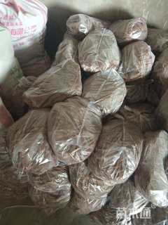 高度10厘米牡丹