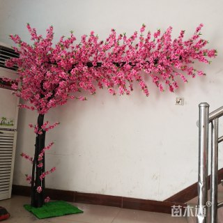 垂枝碧桃