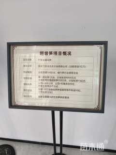 高度15厘米芦竹