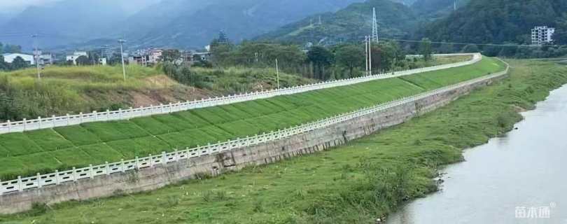 富长盛高羊茅种子